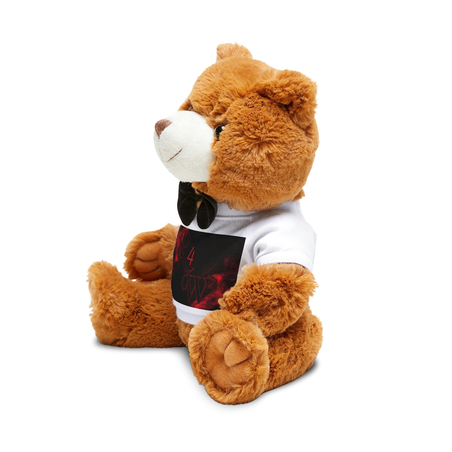 Teddy Bear with T-Shirt