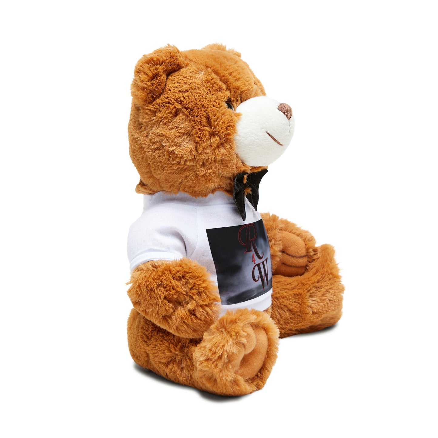 Teddy Bear with T-Shirt